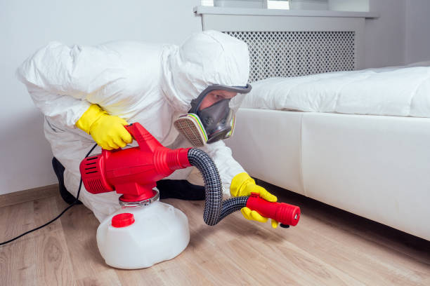 Best Bed Bug Extermination  in Lochbuie, CO