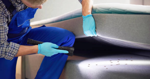Best Cockroach Control Services  in Lochbuie, CO