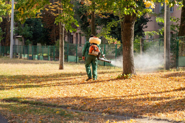 Best Affordable Pest Control Services  in Lochbuie, CO