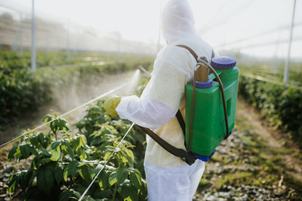 Best Mosquito Control Services  in Lochbuie, CO
